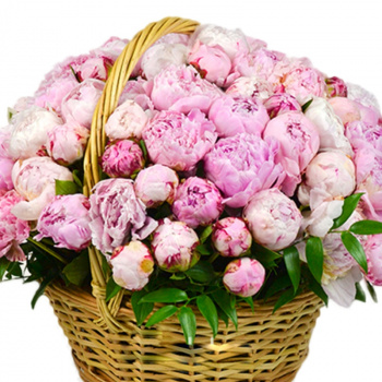 Корзина из 75 розовых пионов